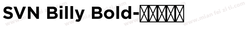 SVN Billy Bold字体转换